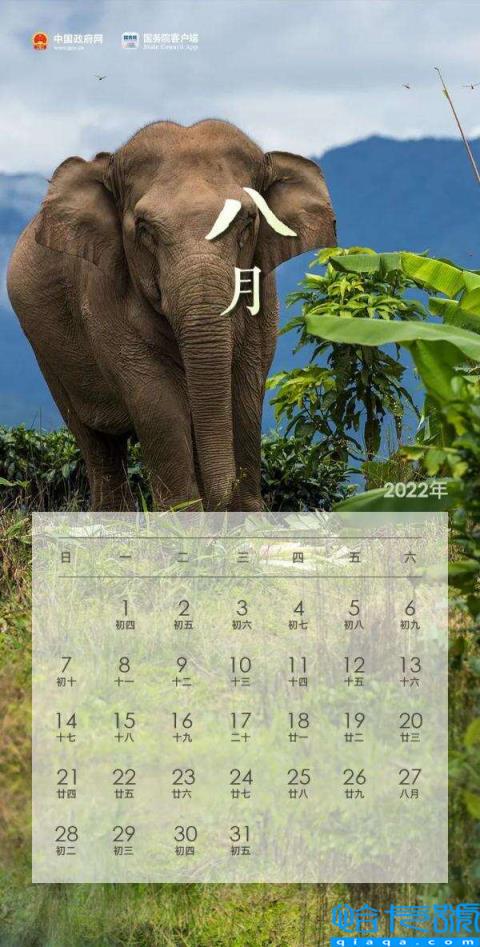 2022年放假及调休安排((2022年日历表))