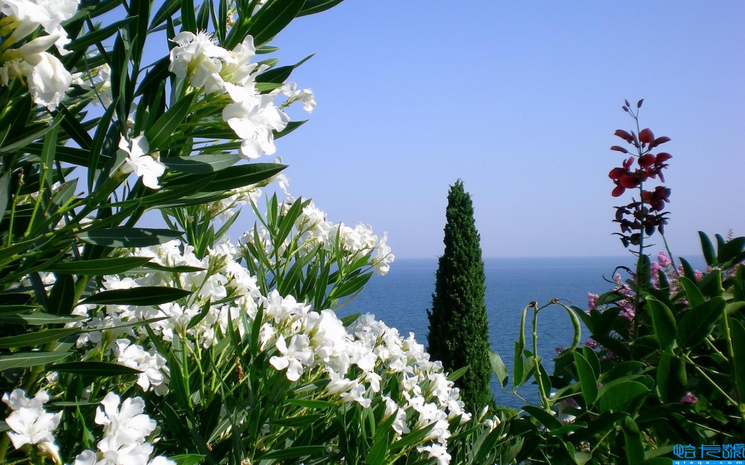 骂人的话带脏字骂男的(骂人带脏字越难听越好)