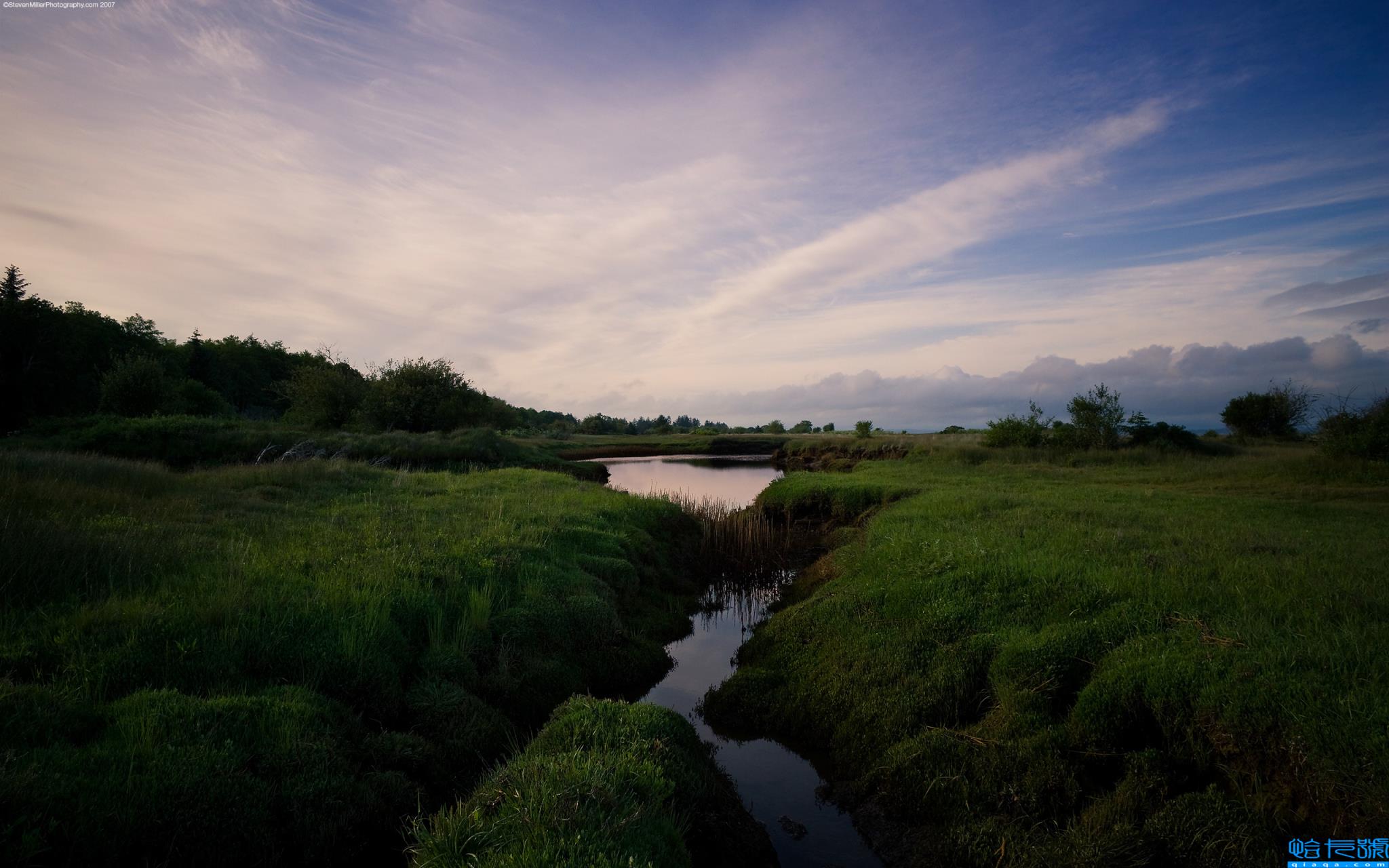 lol经典骂人语录