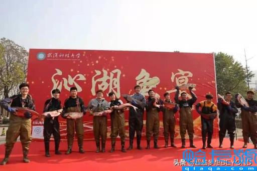 武汉科技大学分数线(2021年各省市录取分数线情况)