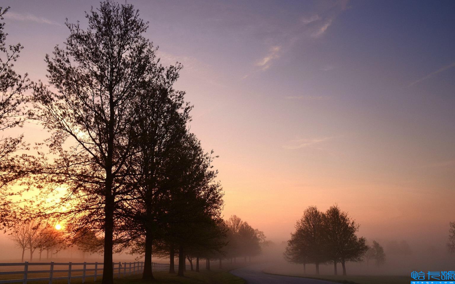 撩妹到湿的句子(污到腿软的情话)