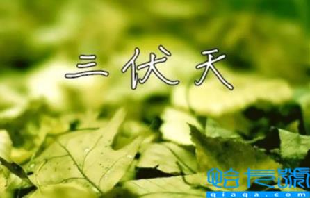 2022进伏是哪一个节气开始(2022年进伏是从哪一天开始算)