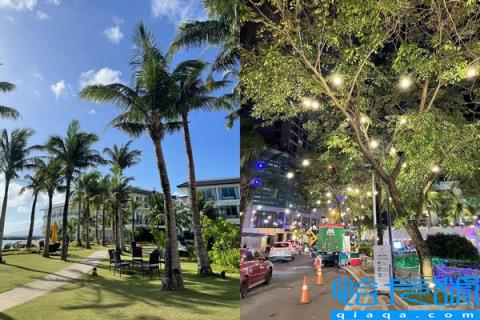 2019加拿大留学优势介绍