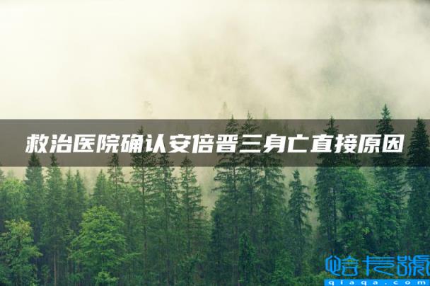 救治医院确认安倍晋三身亡直接原因