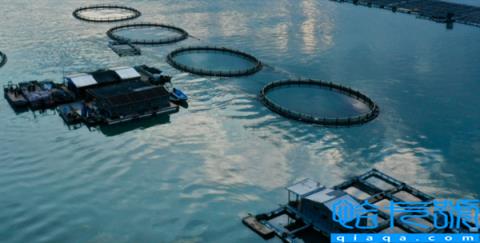 京东生物资产监管平台走进江苏 降低农户融资门槛为“三农”引入金融活水