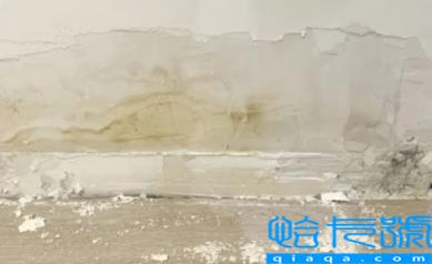 网上找的防水补漏靠谱吗(往墙里打胶可以防漏水吗)