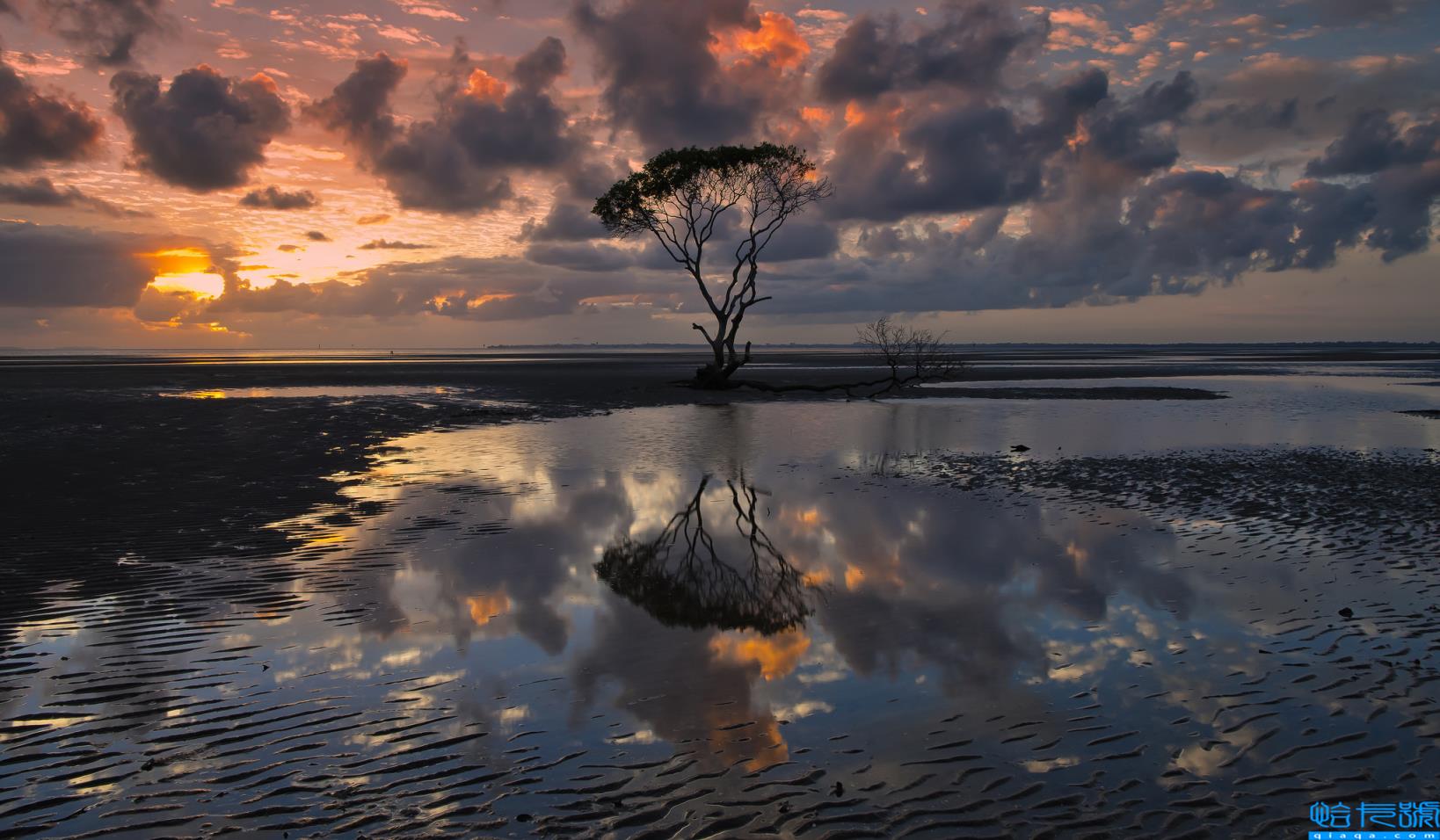 骂人不带脏字还够狠(超级狠的很酷的骂人语录)
