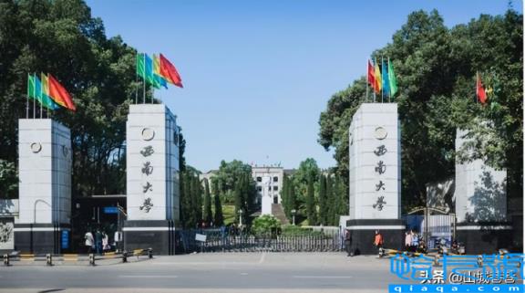 重庆医科大学排名2022最新排名(2022年重庆高校排行榜)