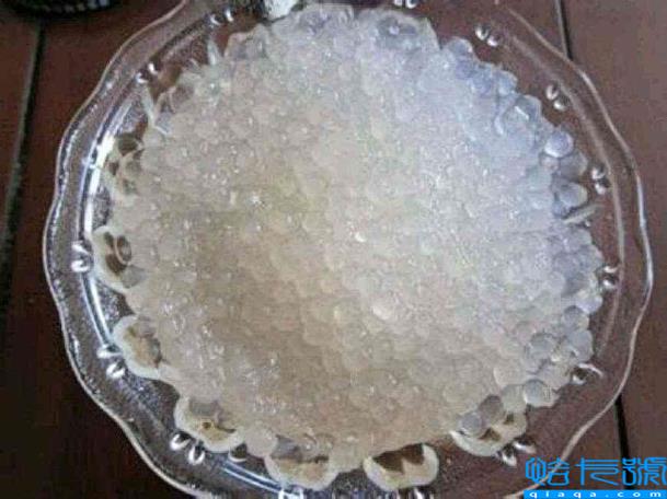 西米是什么东西做的?西米到底是什么东西做的?