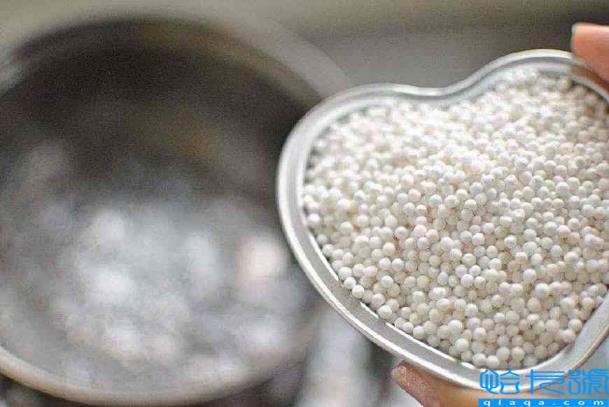 西米是什么东西做的?西米到底是什么东西做的?