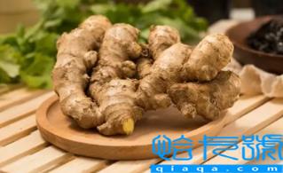 生姜有毒性吗(什么样的生姜有毒)