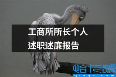 税务局个人述职述廉报告(工商所所长个人述职述廉报告)