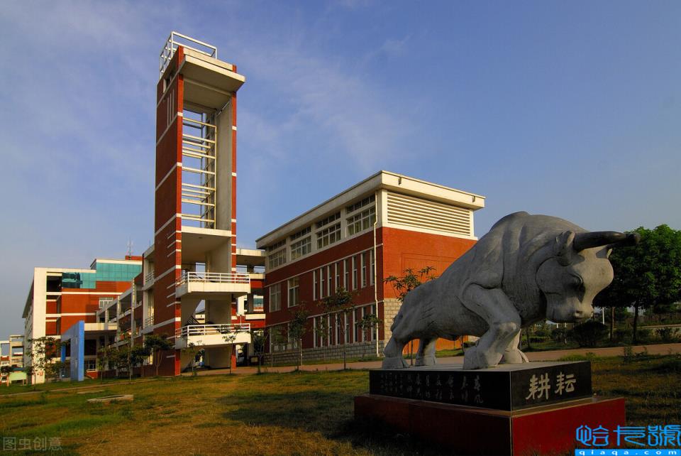 河南单招走哪个学校好(分享河南发展潜力巨大的5所高职院校)