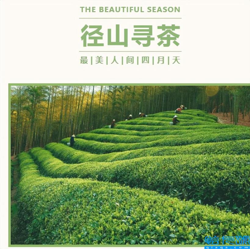 径山花海（杭州周边自驾游哪些地方推荐）