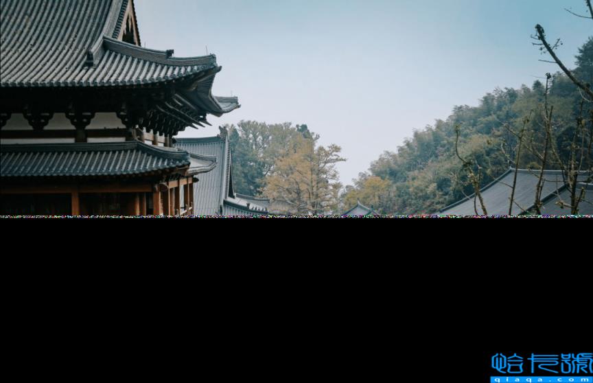 径山花海(杭州周边自驾游哪些地方推荐)