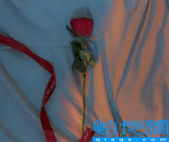 夸人的优点有内涵的词语（含蓄夸人赞美人的词汇）