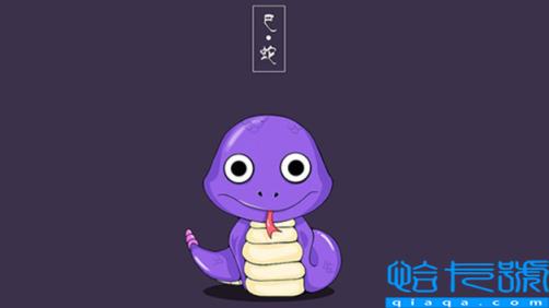 十二生肖哪些是火肖(十二生肖火肖是哪几肖)