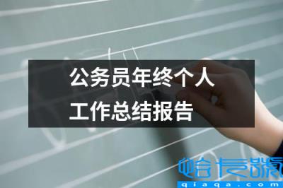 公务员个人年度总结(公务员年终个人工作总结报告)