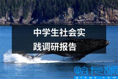 初中学生社会实践调查报告(中学生社会实践调研报告)