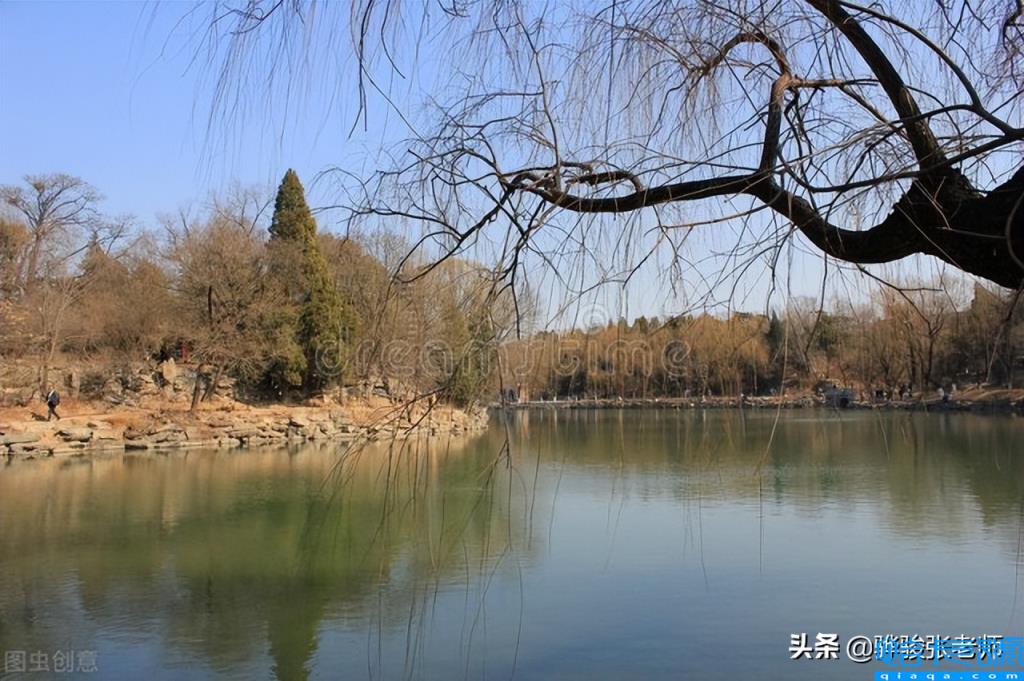 生物专业清华好还是北大好(清华好还是北大好)