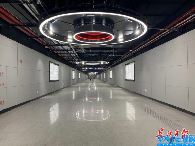 武汉地铁8号线站点图(武汉8号地铁站线路图)