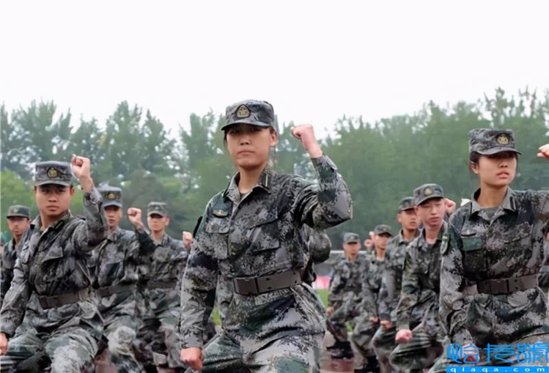 部队考军校需要考哪些科目(部队军校考试都考什么科目)