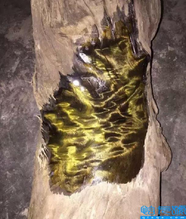 金丝楠木什么价(金丝楠木现在的市场价是多少)