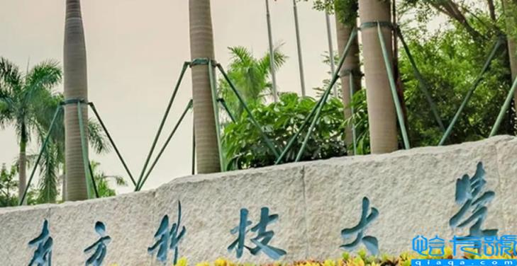 南方科技大学研究生复试难吗(南方科技大学考研难度)