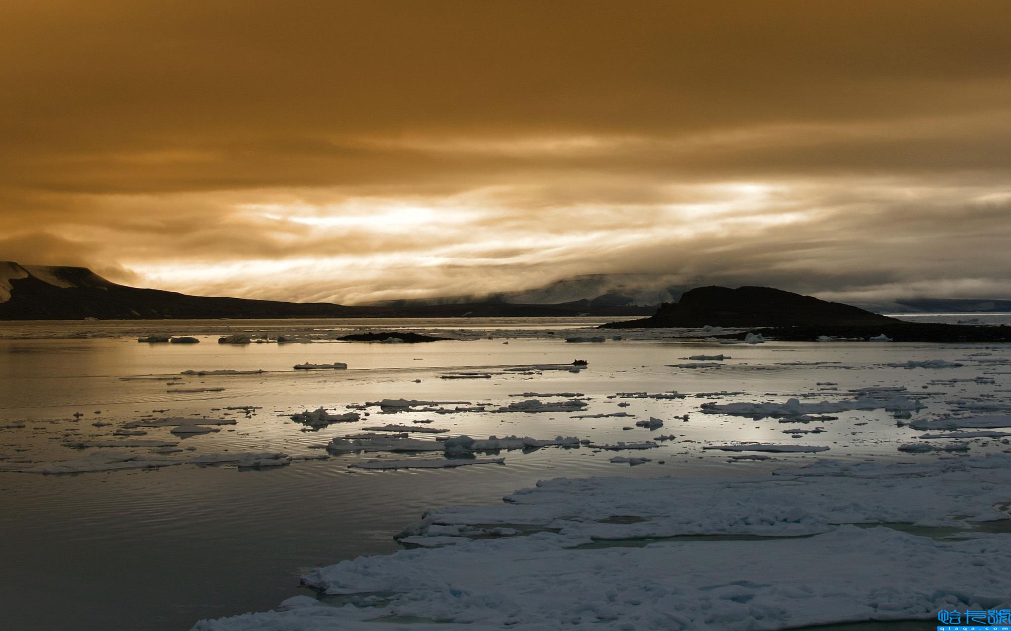 北京中央音乐学院分数线(中央音乐学院分数线)