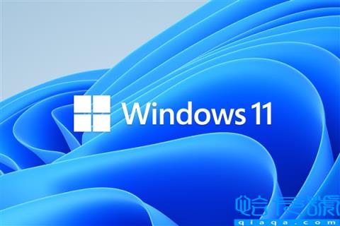 Win11测试版相机获更新：用电脑扫二维码感受下