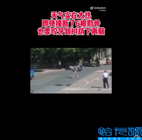 撞断6根肋骨也要跑到树荫下再躺 当天38度网友直言机智：交警实力跟帖