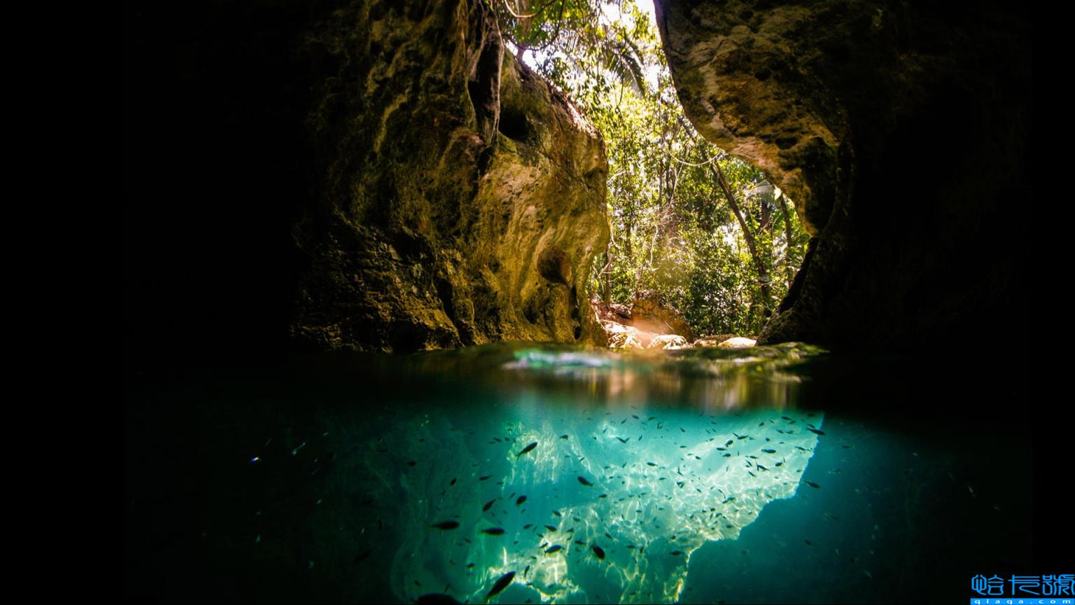 中国一线明星名单2017(中国一线明星名单)