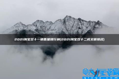 2020淘宝双11销售排行榜(2021淘宝双十一销售量排行榜)