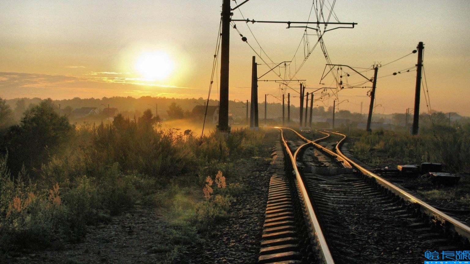 幼儿园教师专业发展年度具体计划(幼儿园教师专业发展工作计划)