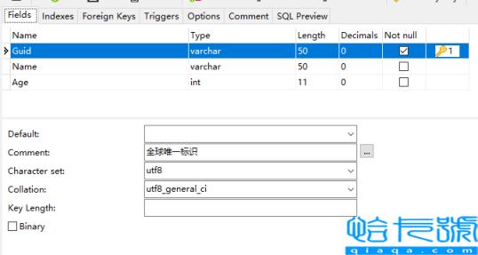 MySqlBulkLoader如何使用