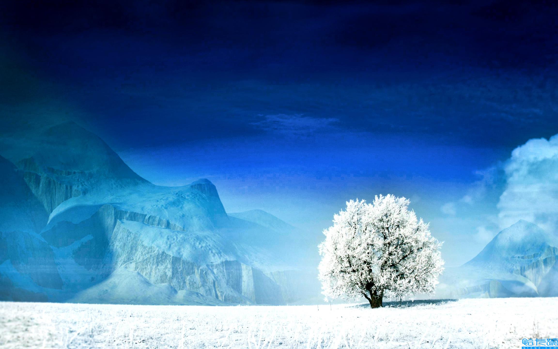 小学六年级十首古诗(小学六年级经典古诗词)