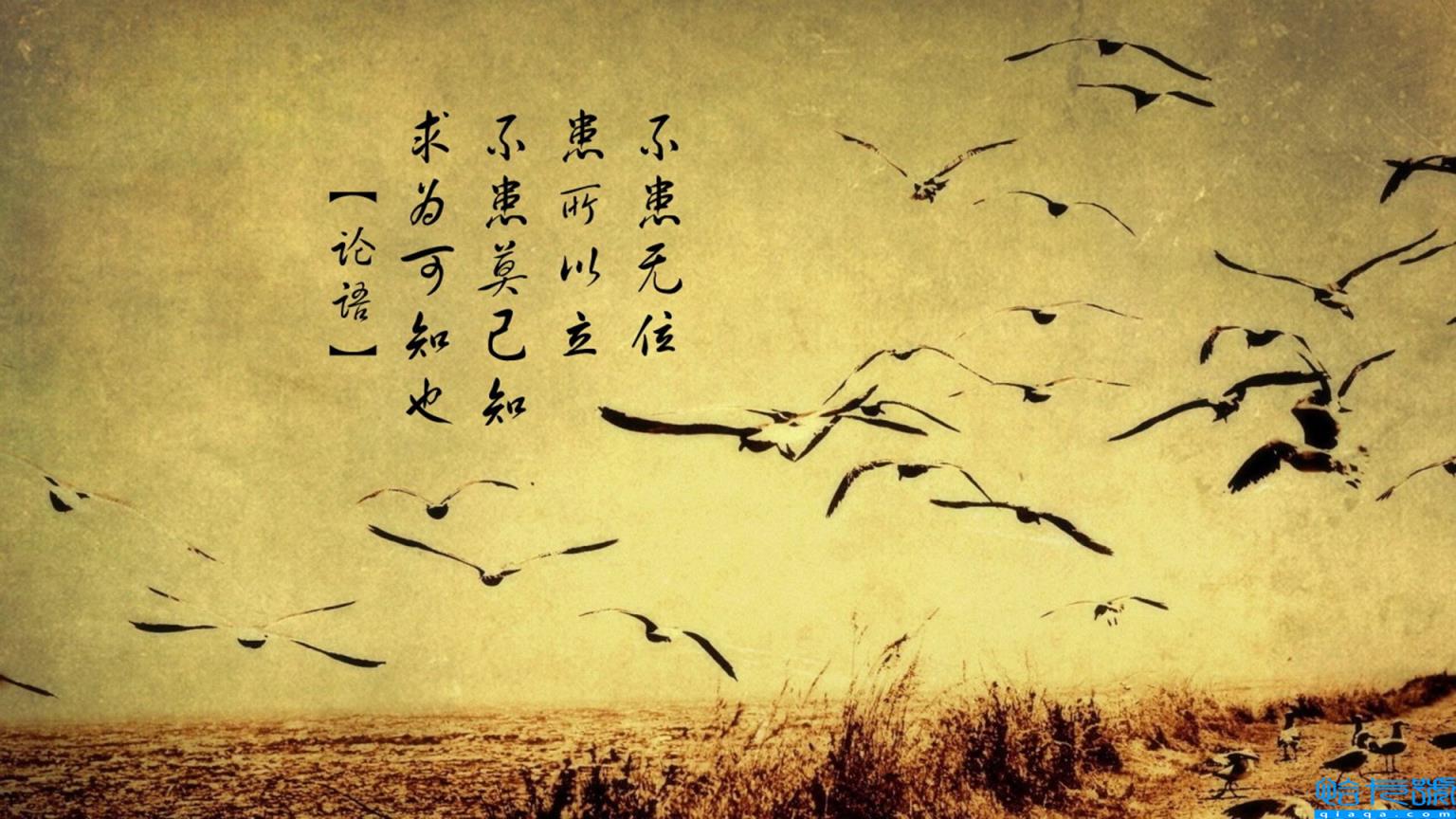 想给女孩子表白的话(给女孩子表白的话)