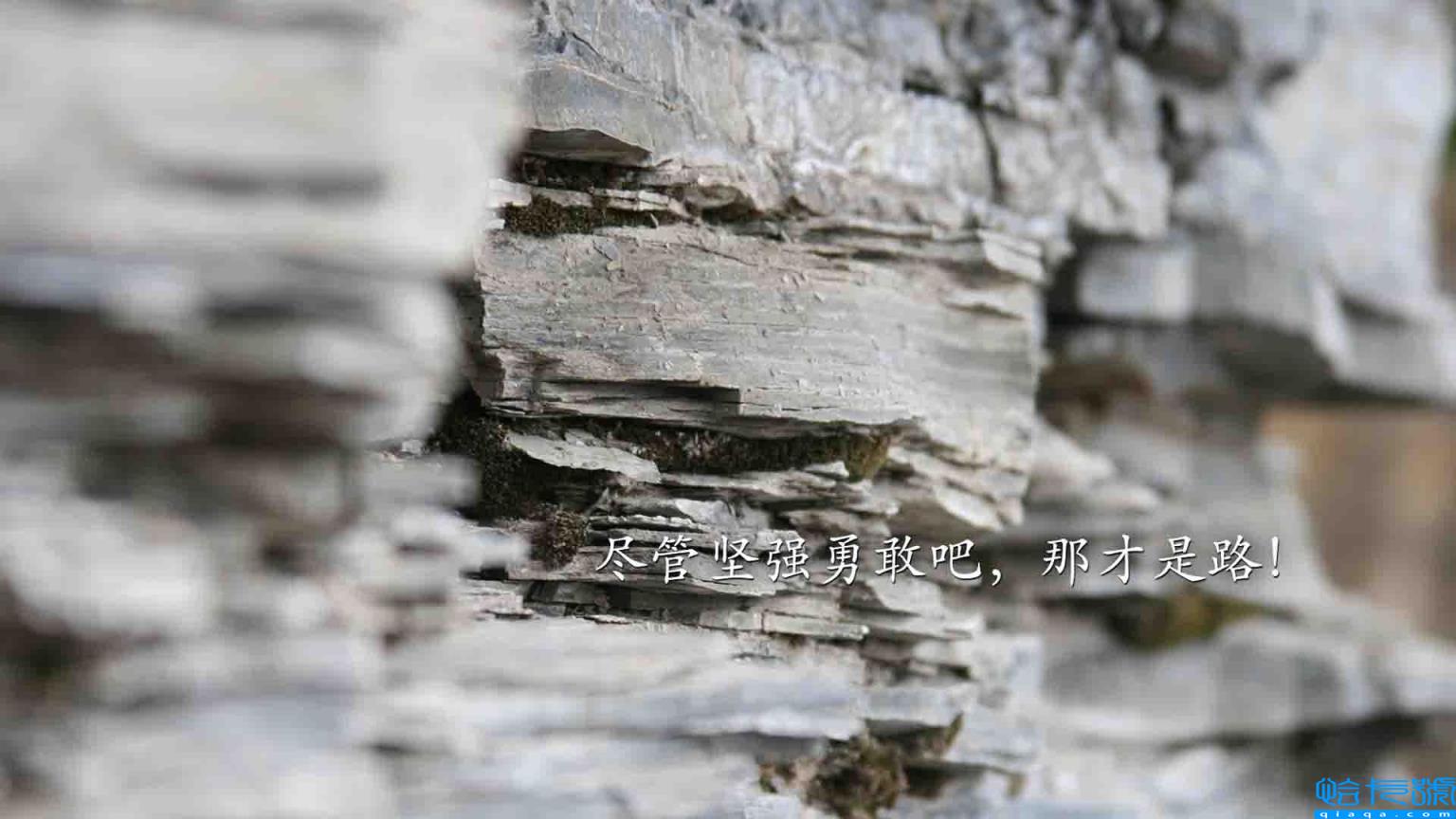 给闺蜜留言的暖心短句(给闺蜜留言的暖心话)