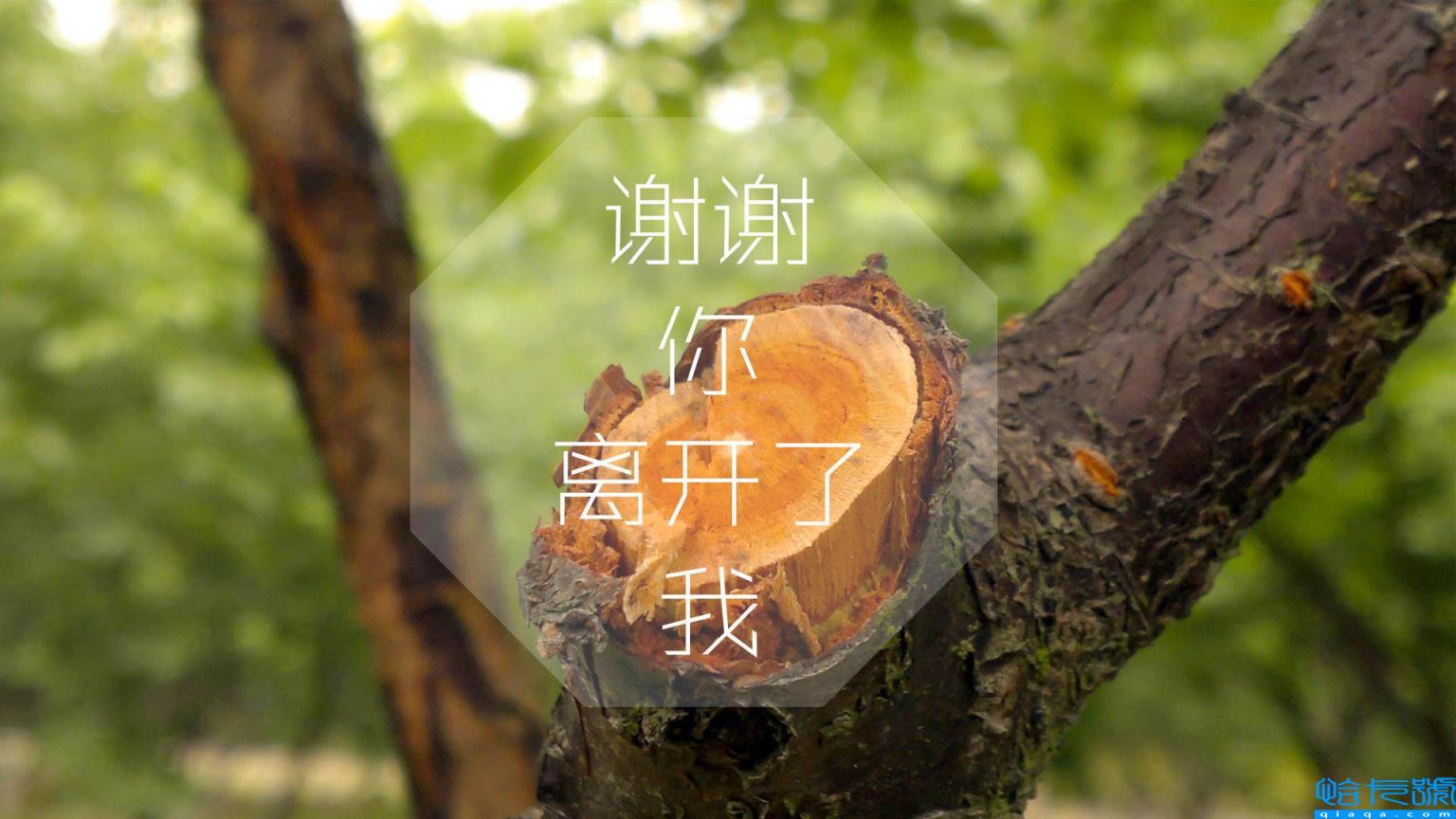 qq男个性签名(男生qq签名大全95句)