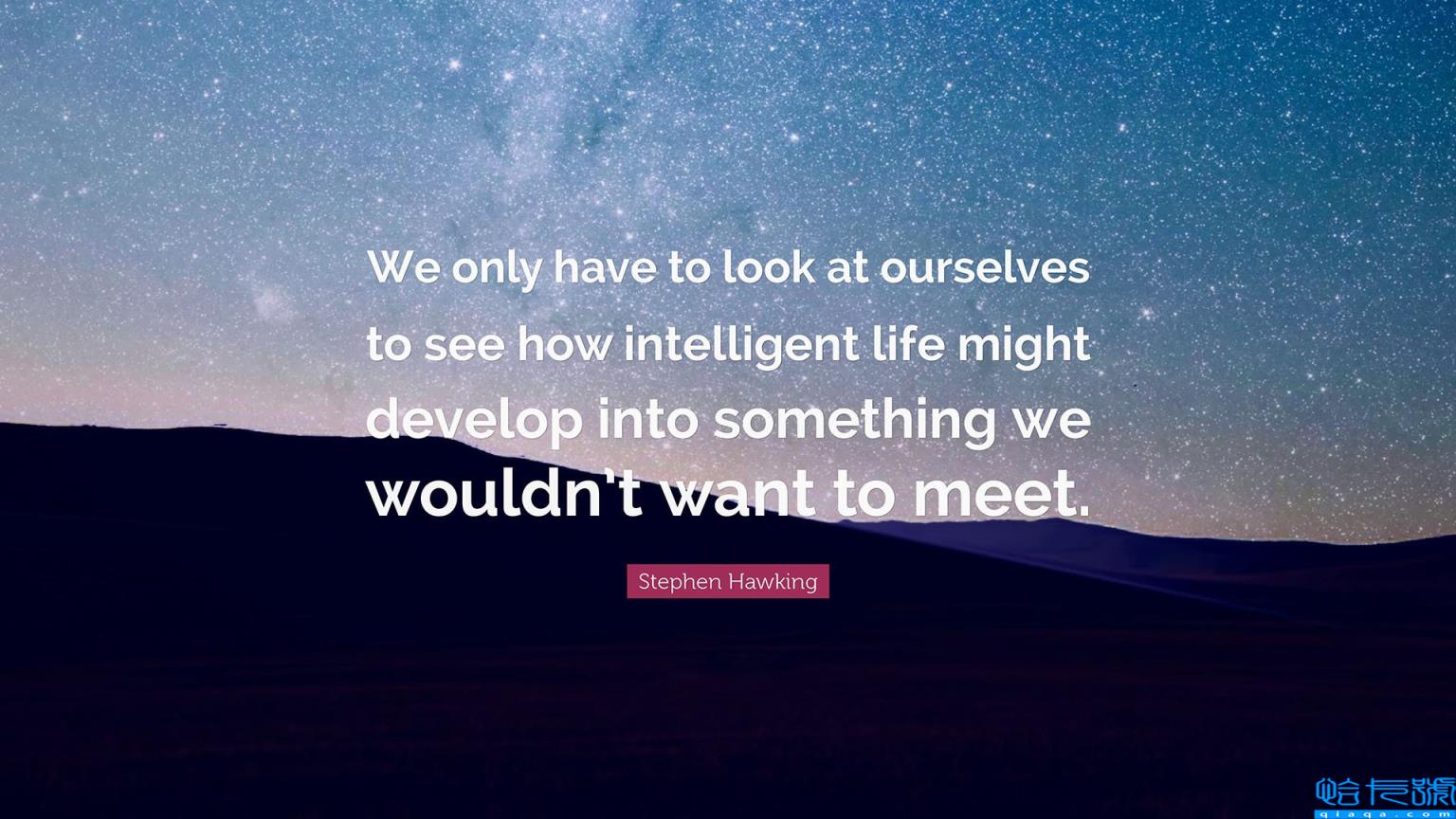 懂你的人很重要的句子(真正懂你的人的句子精选)