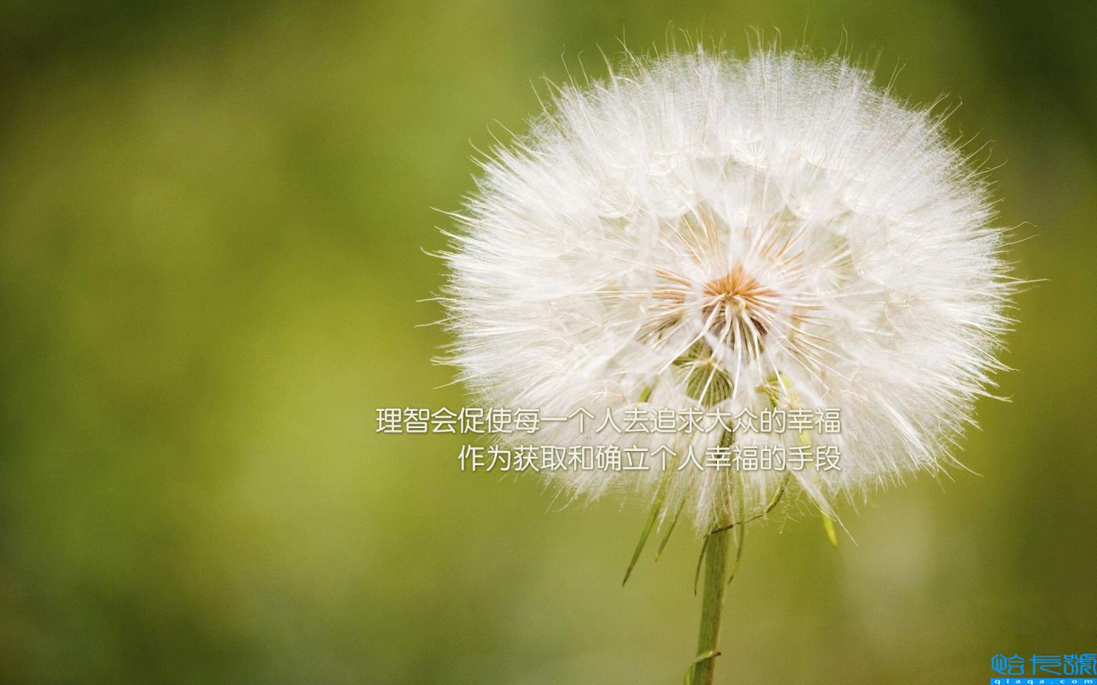 爱山东怎么实名认证(爱山)