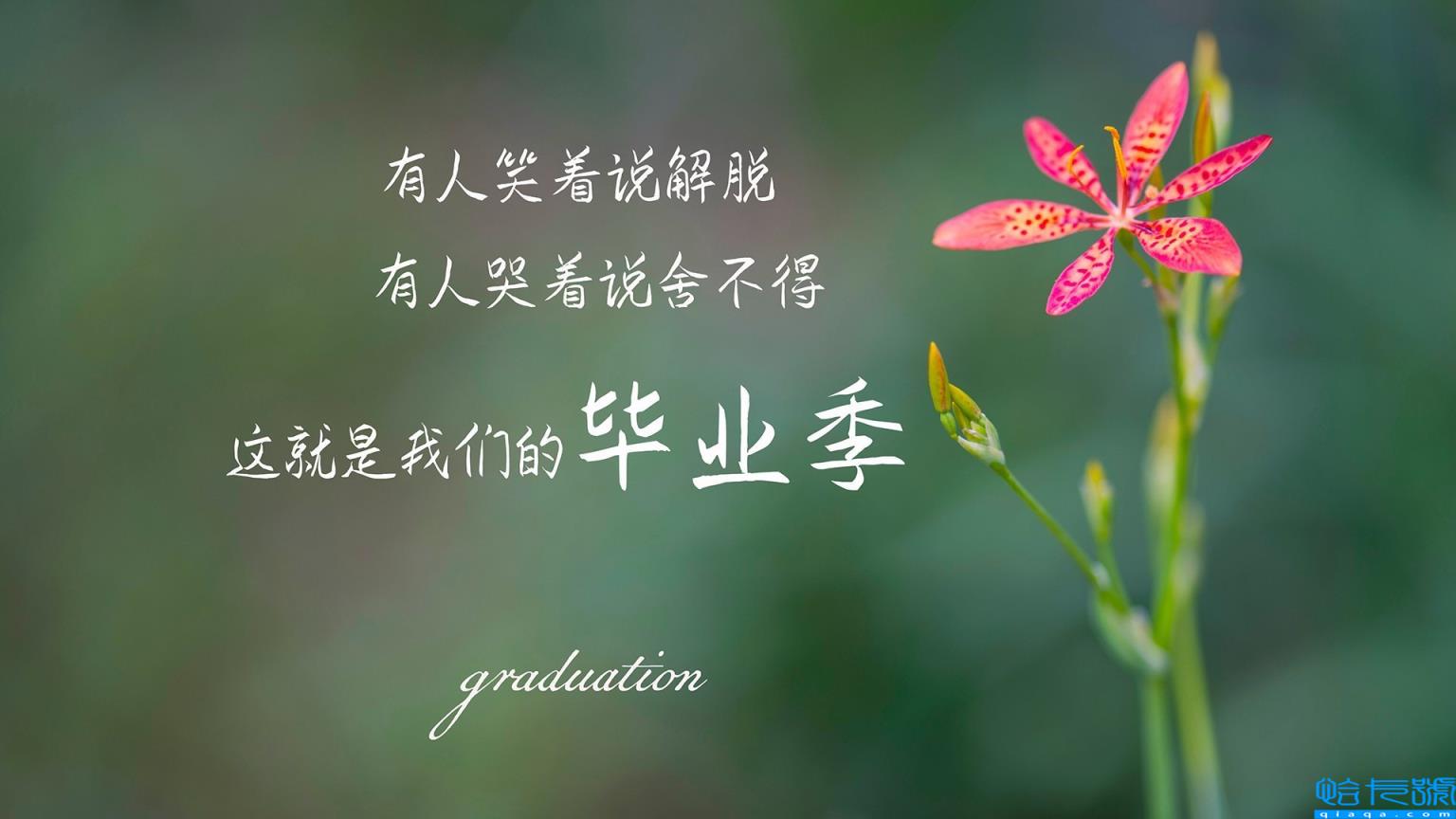 父子情深的句子白话文(父子情深的句子)