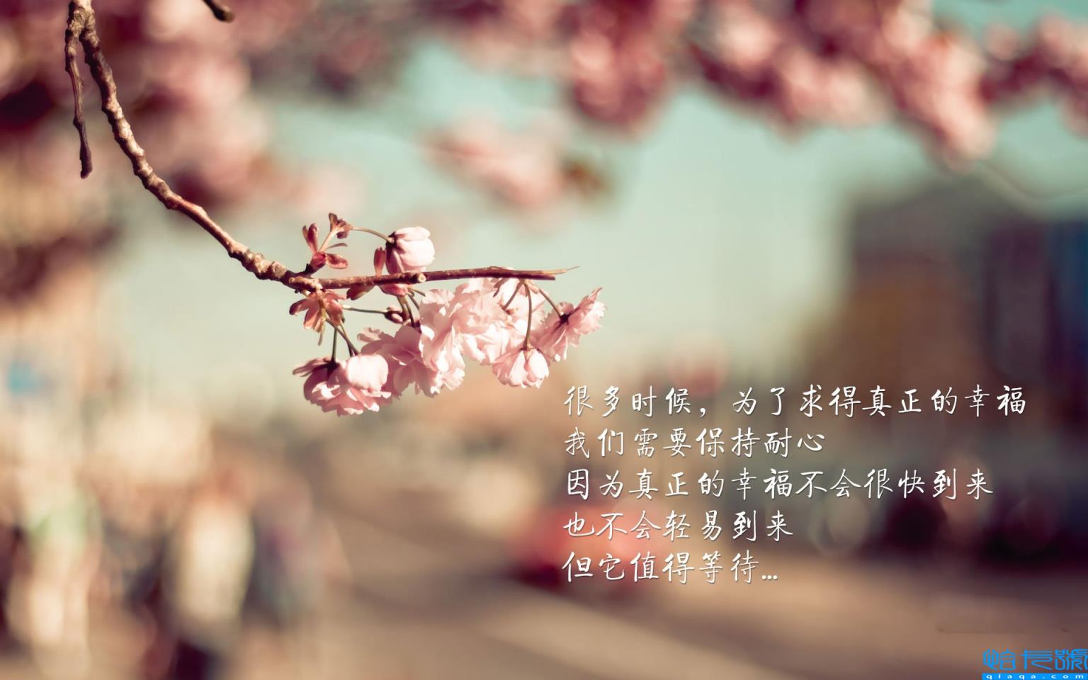 父子情深的句子白话文(父子情深的句子)