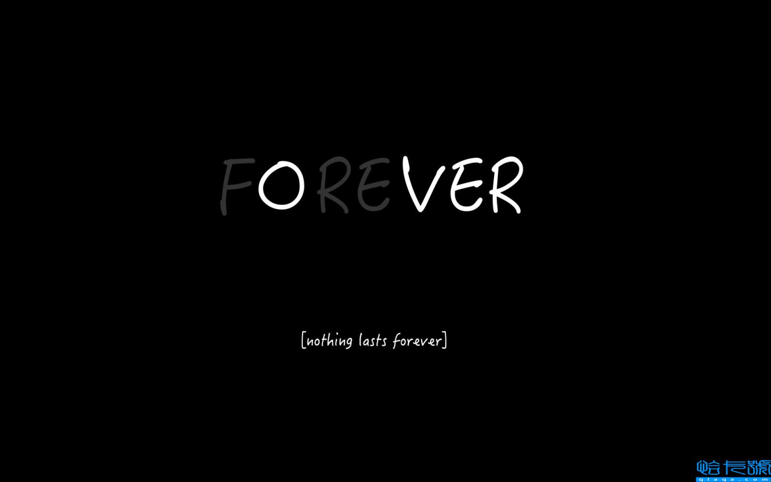 缘分的句子经典语句(有缘分的经典句子)