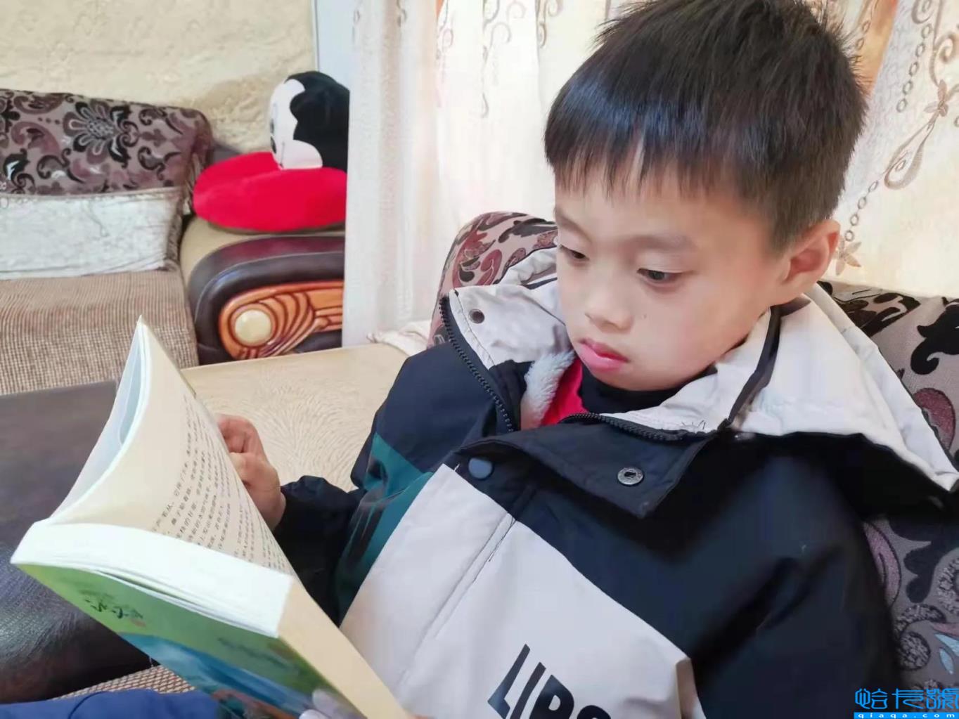 统领昆休添瑞彩打一数字生肖（老鸹枕头读后感简单）