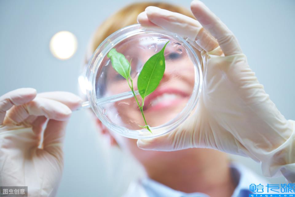 什么是原生质(原生质是什么呢?)