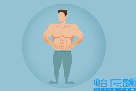 海参的八大功效与作用