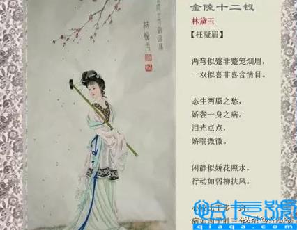 红楼梦人物关系图(红楼梦人物关系一副图)