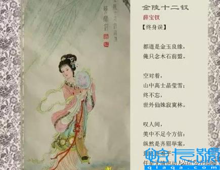 红楼梦人物关系图(红楼梦人物关系一副图)