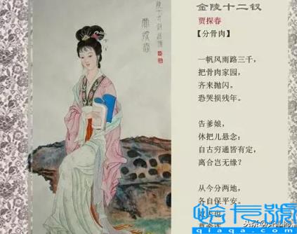 红楼梦人物关系图(红楼梦人物关系一副图)